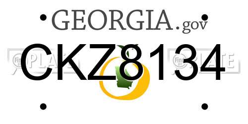 CKZ8134 Georgia License Plate