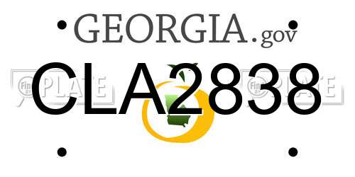 CLA2838 Georgia License Plate
