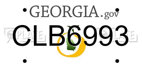 CLB6993 Georgia License Plate