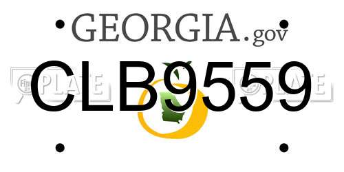 CLB9559 Georgia License Plate