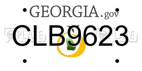 CLB9623 Georgia License Plate