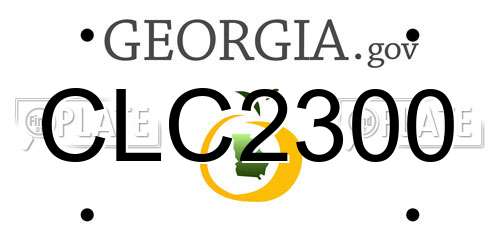 CLC2300 Georgia License Plate