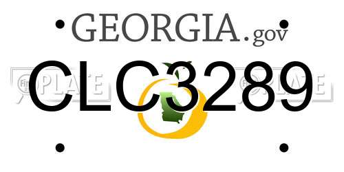 CLC3289 Georgia License Plate