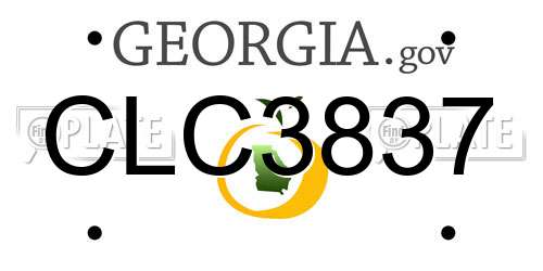 CLC3837 Georgia License Plate