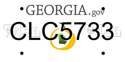CLC5733 Georgia License Plate