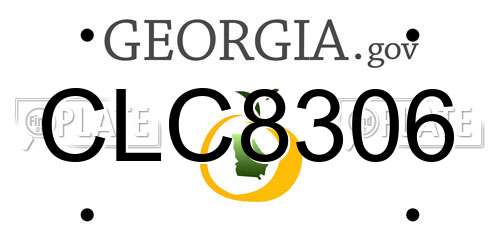 CLC8306 Georgia License Plate