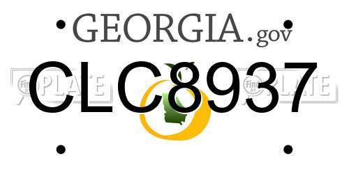 CLC8937 Georgia License Plate