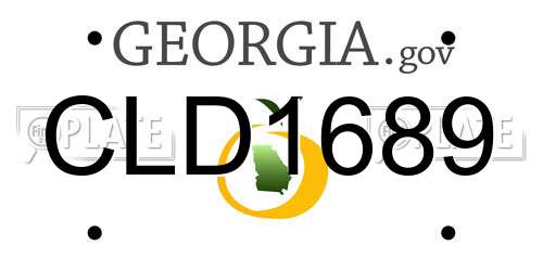 CLD1689 Georgia License Plate