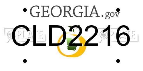 CLD2216 Georgia License Plate