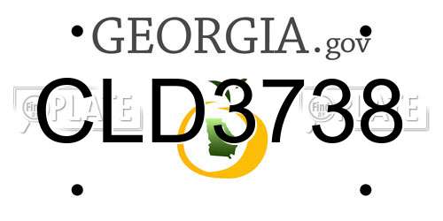 CLD3738 Georgia License Plate
