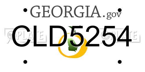 CLD5254 Georgia License Plate