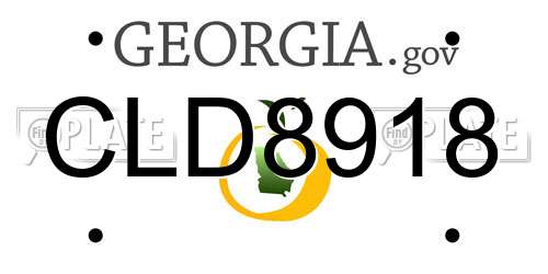 CLD8918 Georgia License Plate