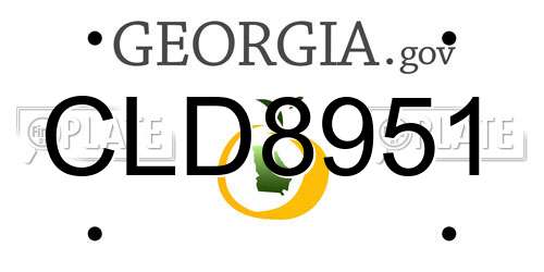CLD8951 Georgia License Plate