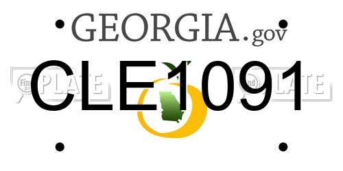 CLE1091 Georgia License Plate