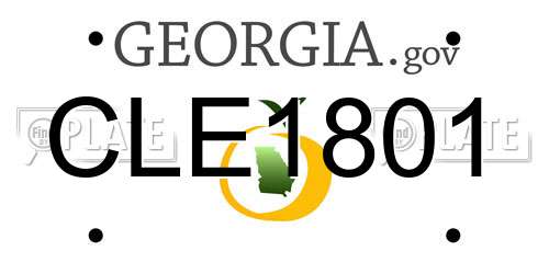 CLE1801 Georgia License Plate