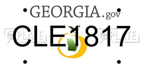 CLE1817 Georgia License Plate