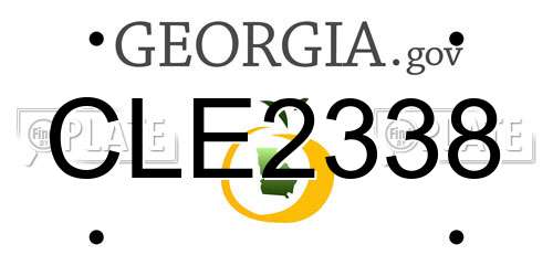 CLE2338 Georgia License Plate