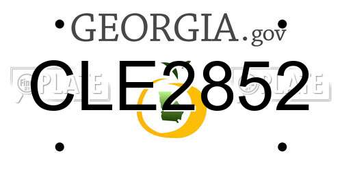CLE2852 Georgia License Plate