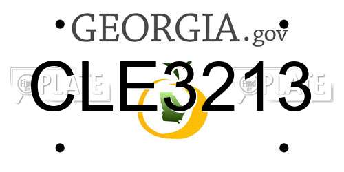CLE3213 Georgia License Plate