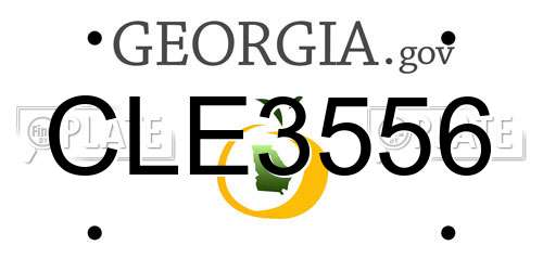 CLE3556 Georgia License Plate