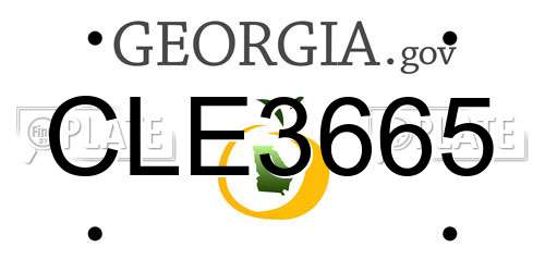 CLE3665 Georgia License Plate