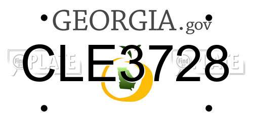 CLE3728 Georgia License Plate