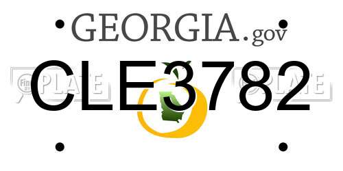 CLE3782 Georgia License Plate