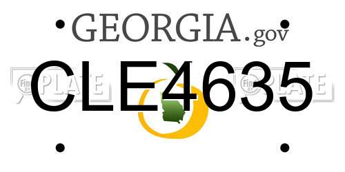 CLE4635 Georgia License Plate