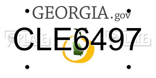 CLE6497 Georgia License Plate