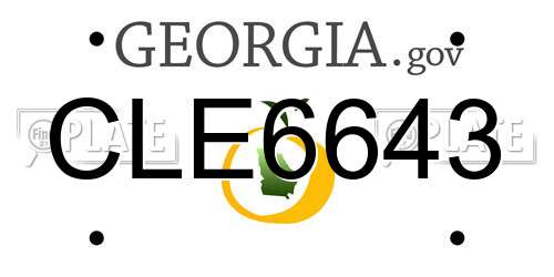 CLE6643 Georgia License Plate
