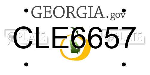 CLE6657 Georgia License Plate