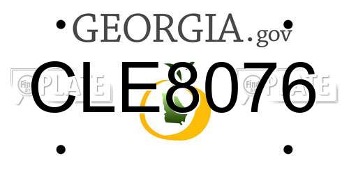 CLE8076 Georgia License Plate