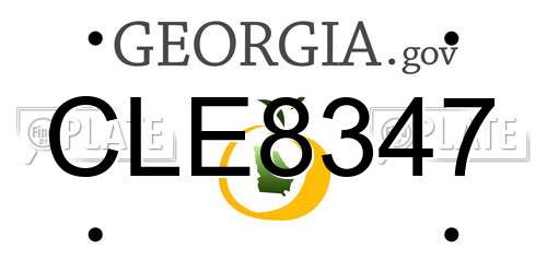 CLE8347 Georgia License Plate