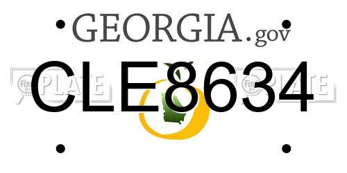 CLE8634 Georgia License Plate