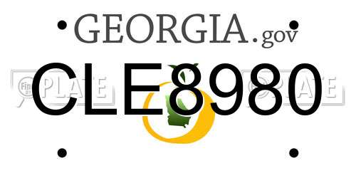 CLE8980 Georgia License Plate