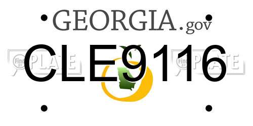 CLE9116 Georgia License Plate
