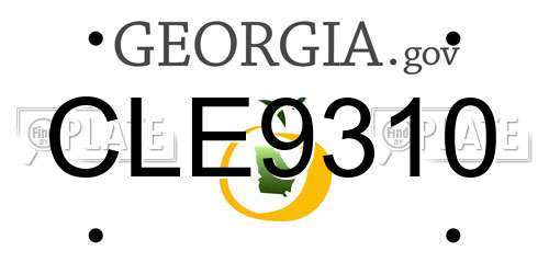 CLE9310 Georgia License Plate