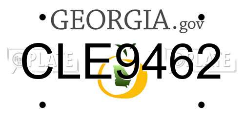 CLE9462 Georgia License Plate