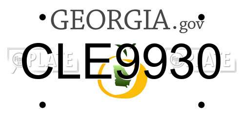 CLE9930 Georgia License Plate
