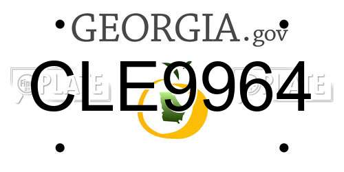CLE9964 Georgia License Plate