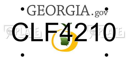CLF4210 Georgia License Plate
