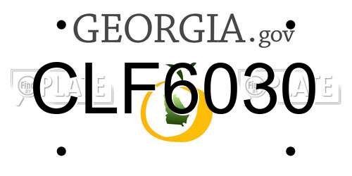 CLF6030 Georgia License Plate