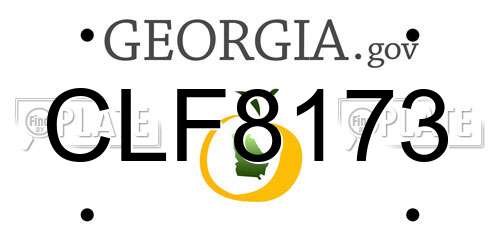 CLF8173 Georgia License Plate