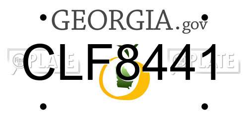 CLF8441 Georgia License Plate