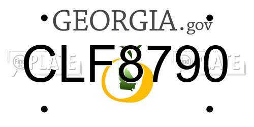 CLF8790 Georgia License Plate