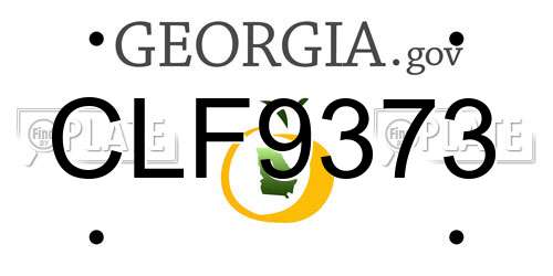 CLF9373 Georgia License Plate