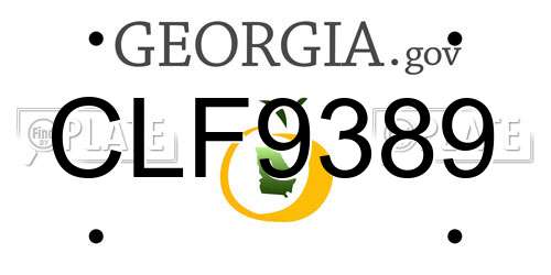 CLF9389 Georgia License Plate