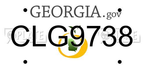 CLG9738 Georgia License Plate
