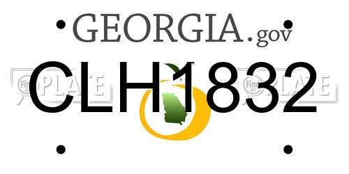 CLH1832 Georgia License Plate