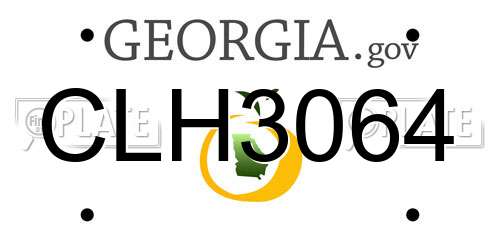 CLH3064 Georgia License Plate